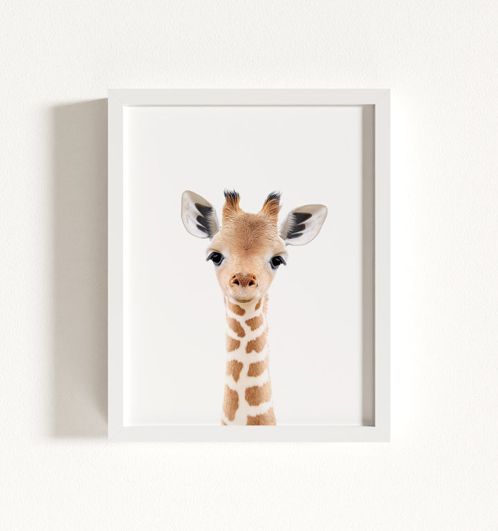 Baby Giraffe Framed Art