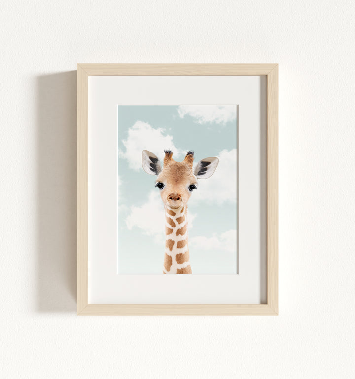 Baby Giraffe Framed Art
