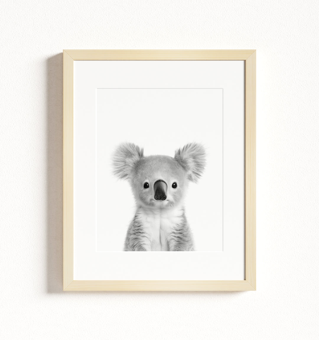 Baby Koala