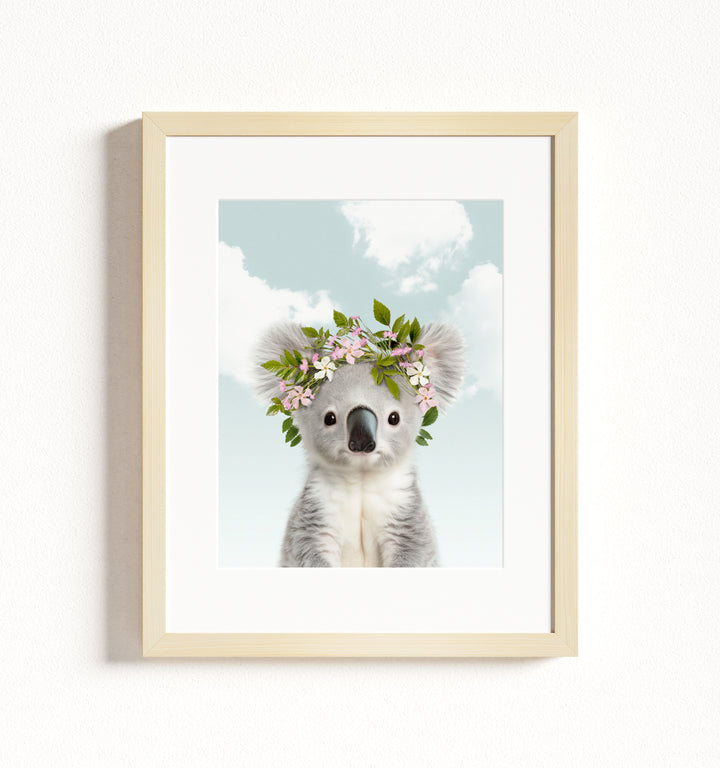 Baby Koala