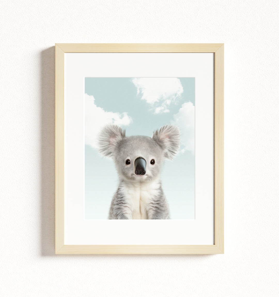 Baby Koala