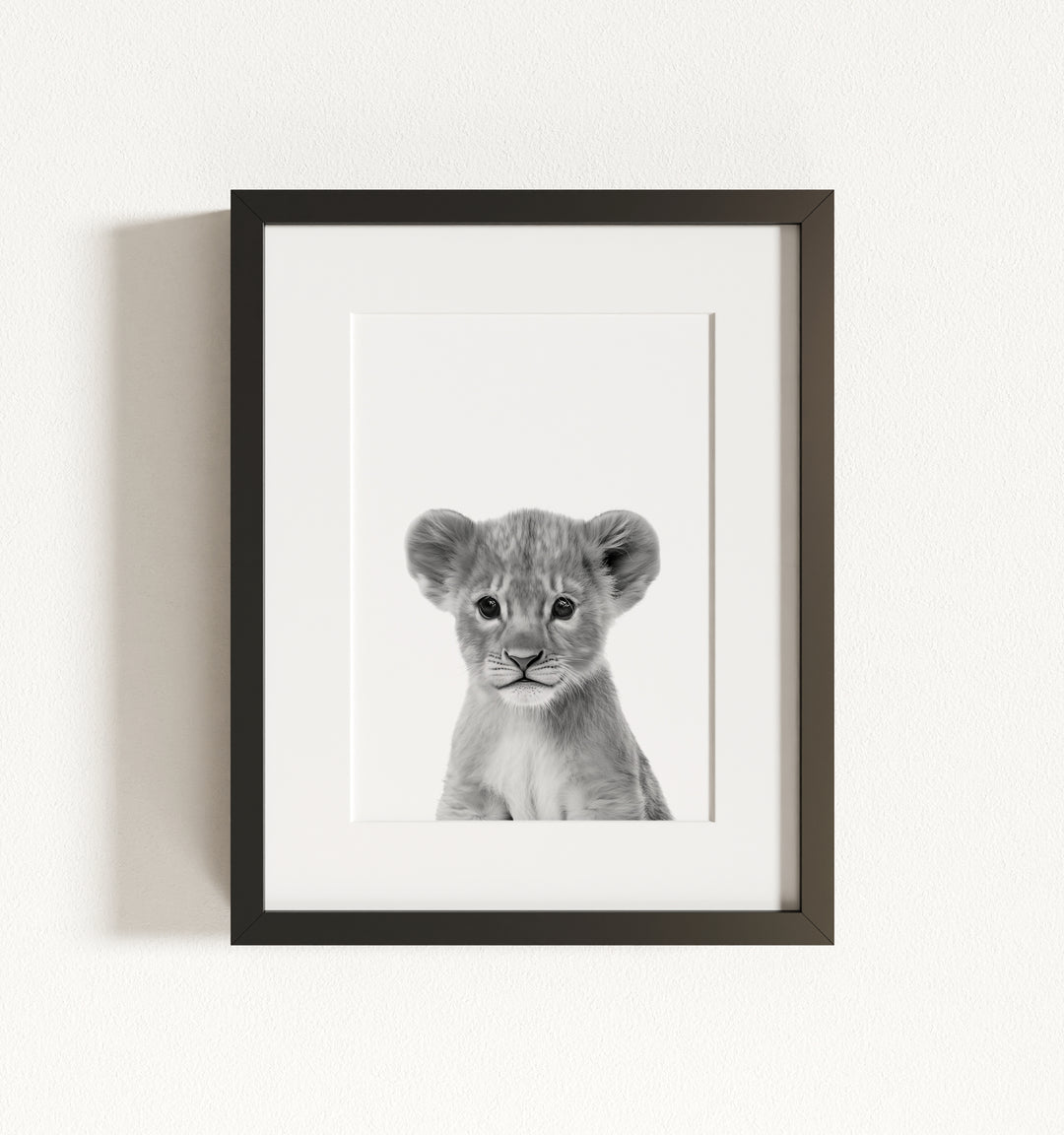 Baby Lion Framed Art