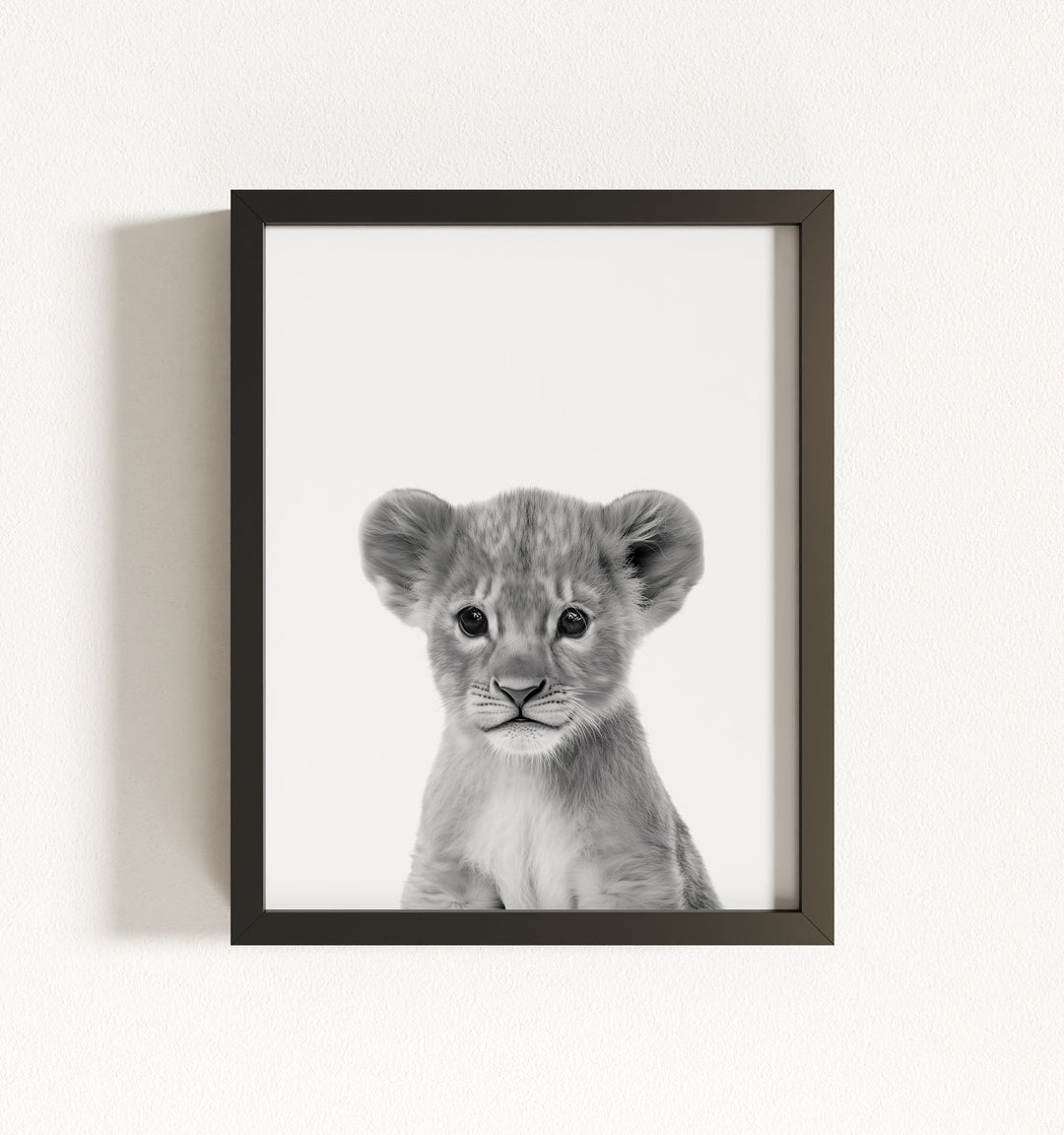 Baby Lion Framed Art