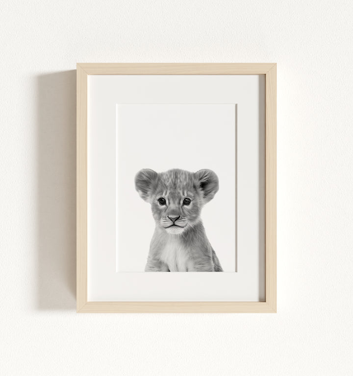Baby Lion Framed Art