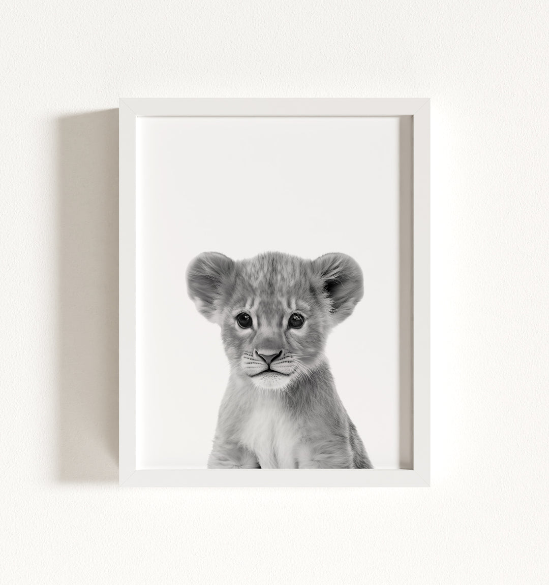 Baby Lion Framed Art