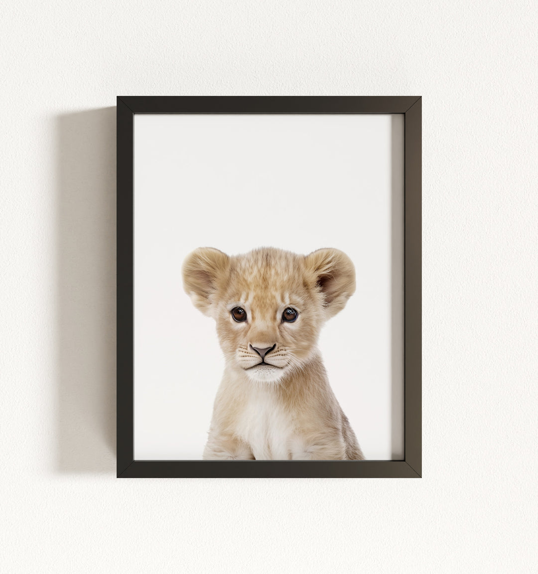 Baby Lion Framed Art