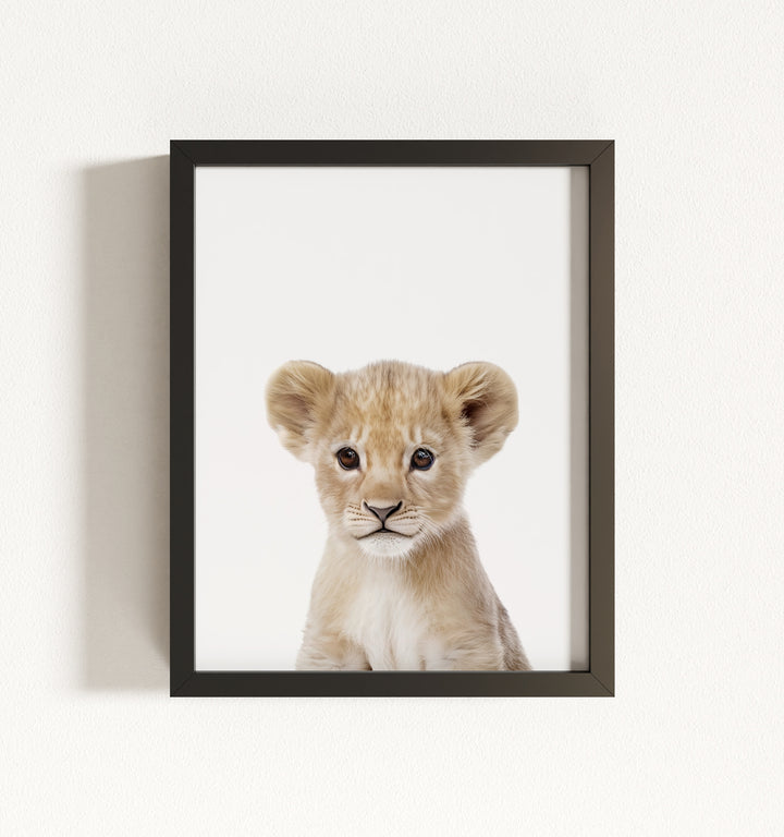 Baby Lion Framed Art