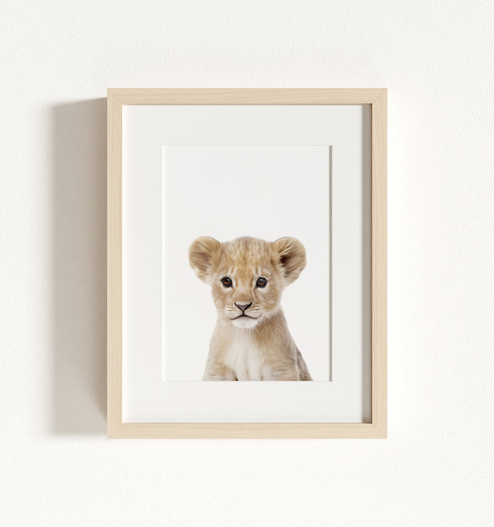 Baby Lion Framed Art