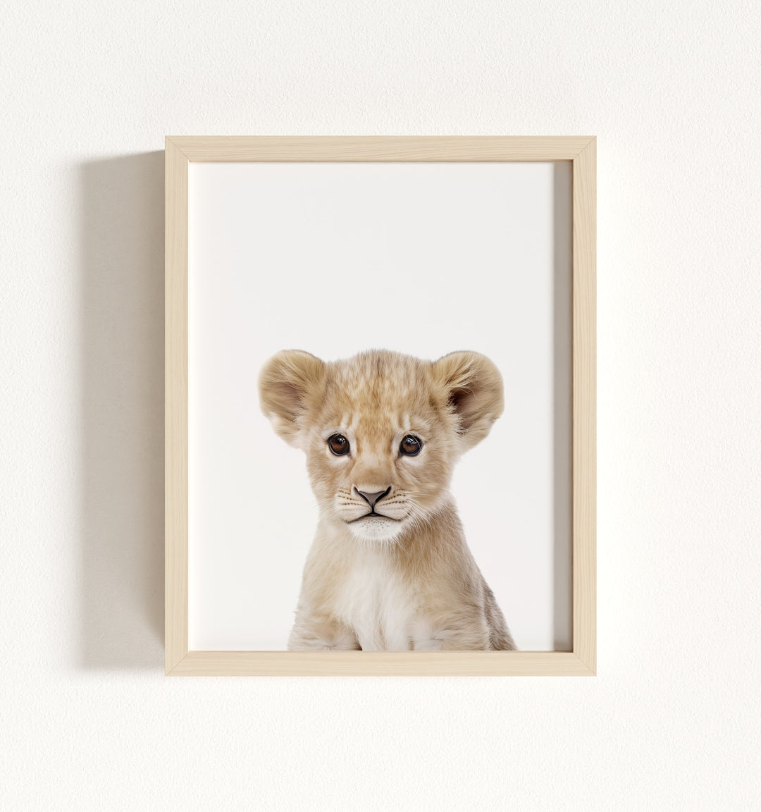 Baby Lion Framed Art