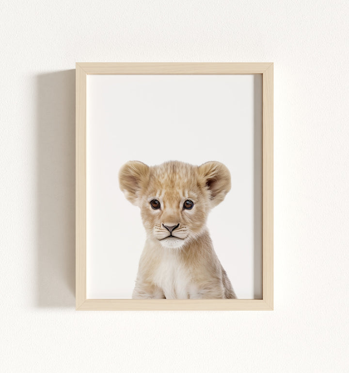 Baby Lion Framed Art