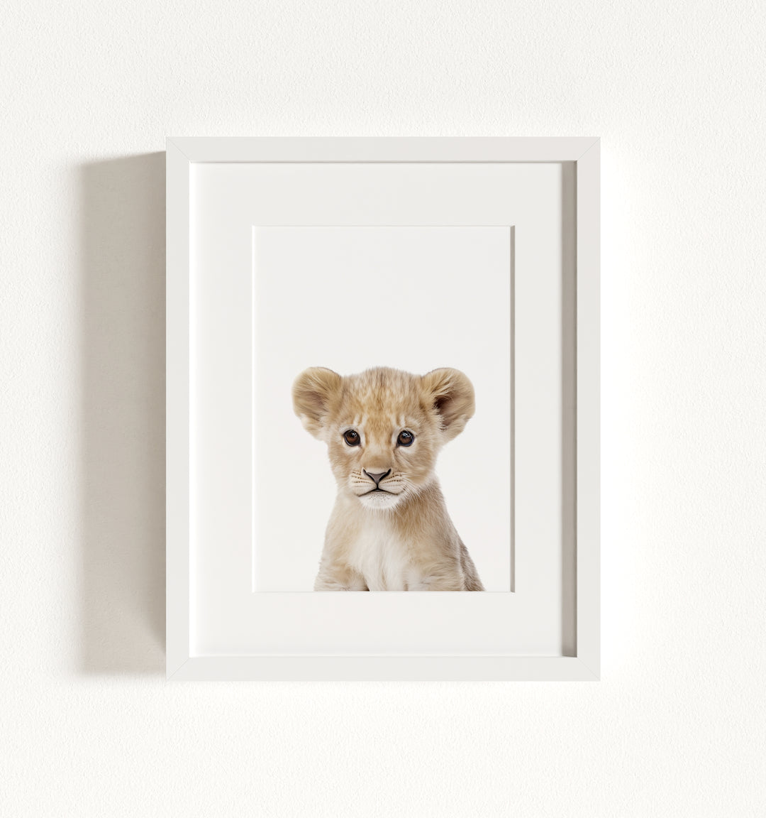 Baby Lion Framed Art