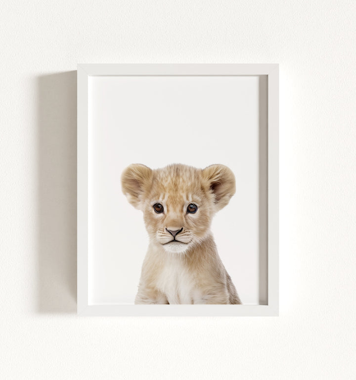Baby Lion Framed Art
