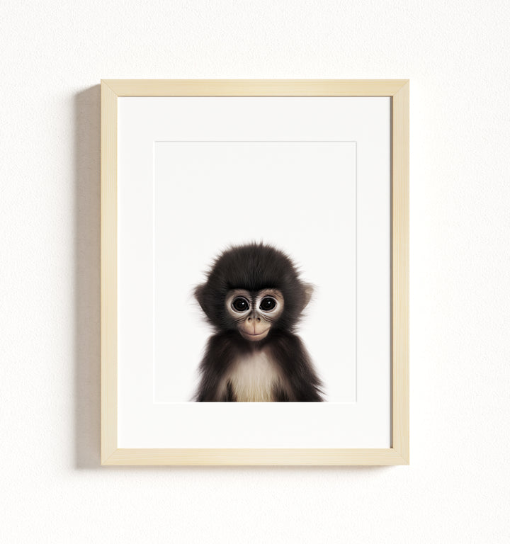 Baby Monkey