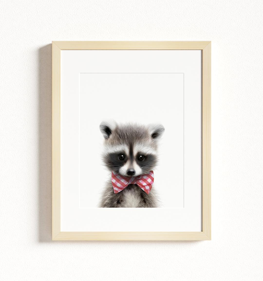 Baby Raccoon