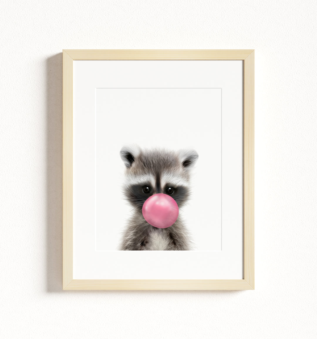 Baby Raccoon