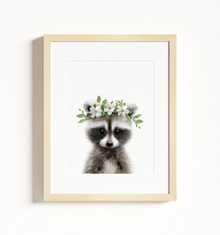 Baby Raccoon