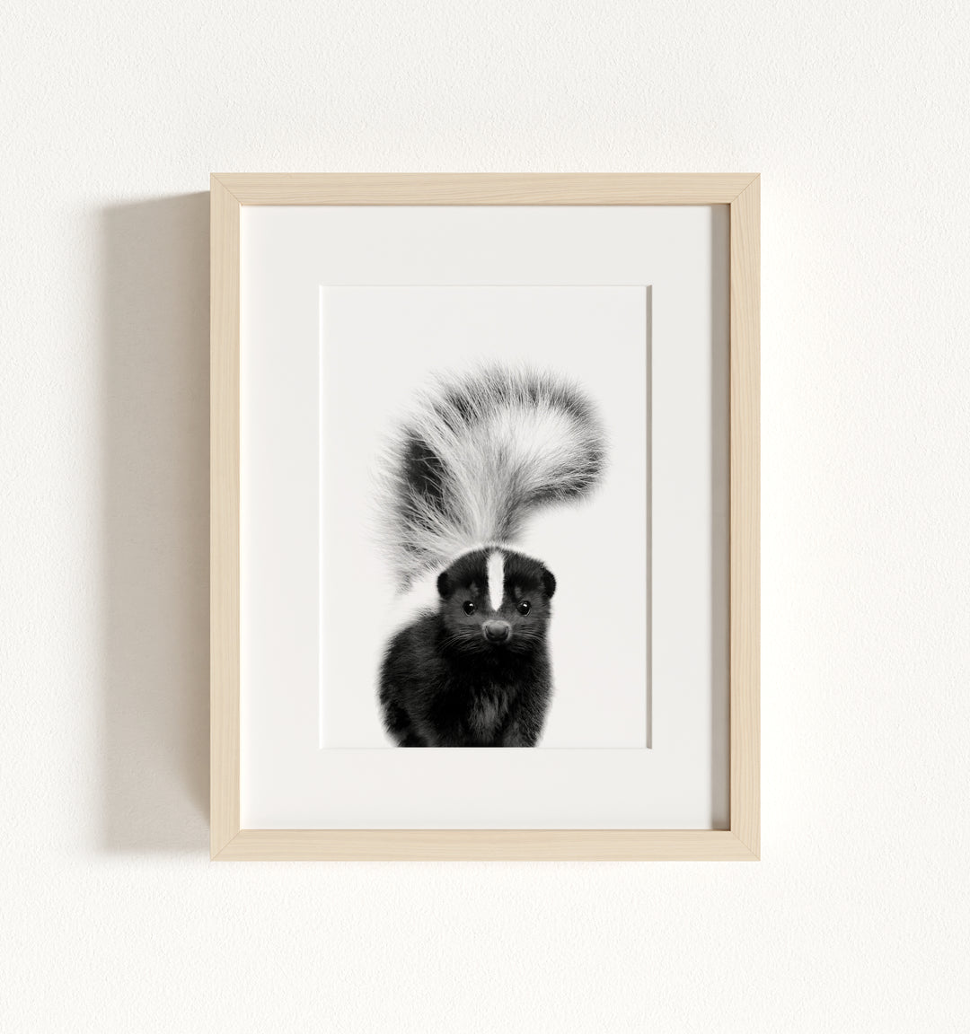 Baby Skunk Framed Art