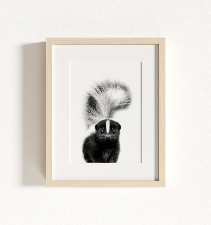 Baby Skunk Framed Art