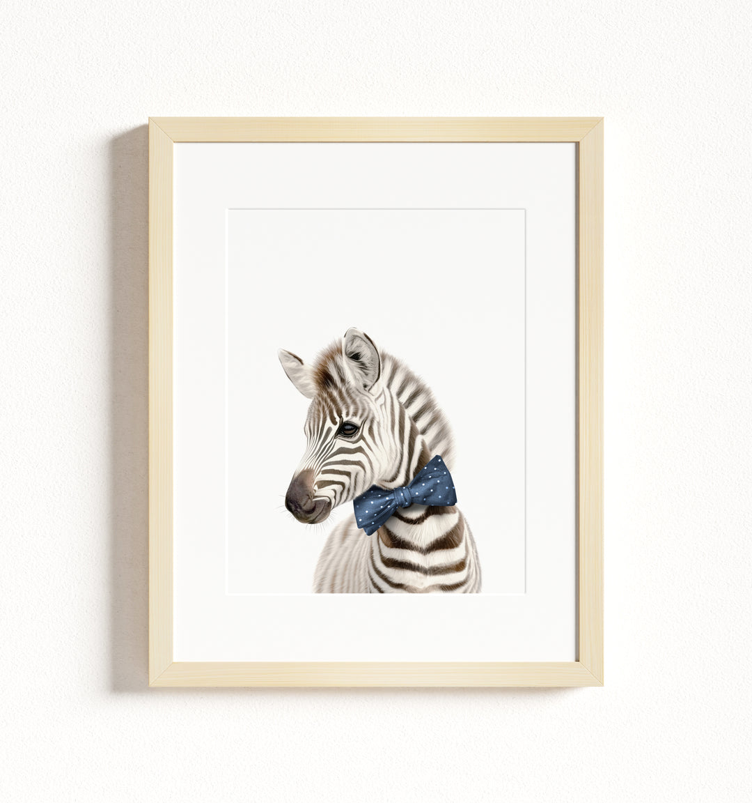 Baby Zebra