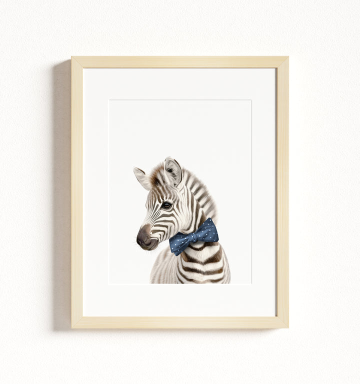 Baby Zebra