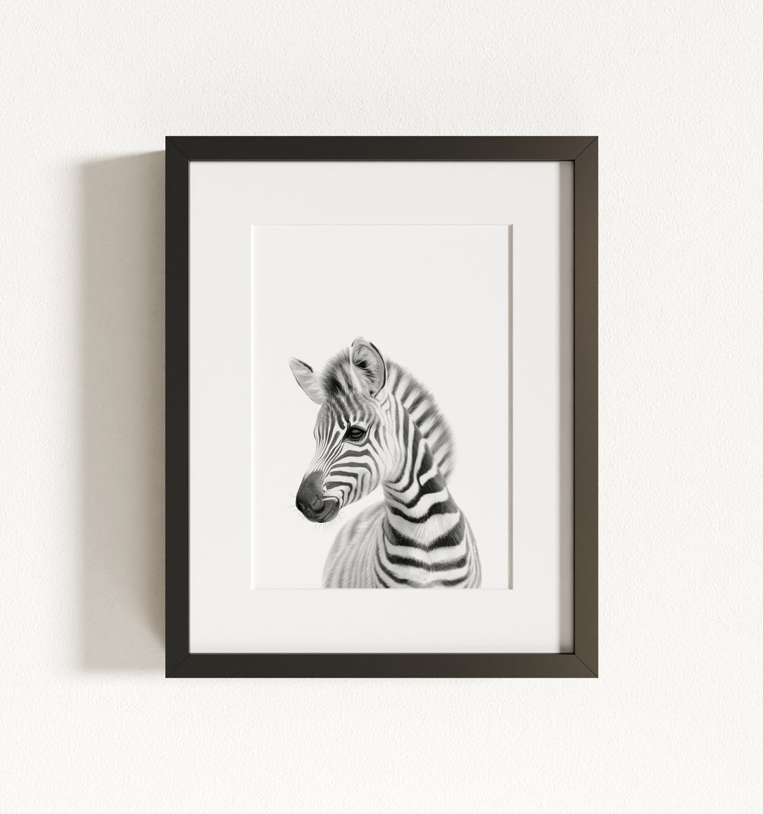 Baby Zebra Framed Art