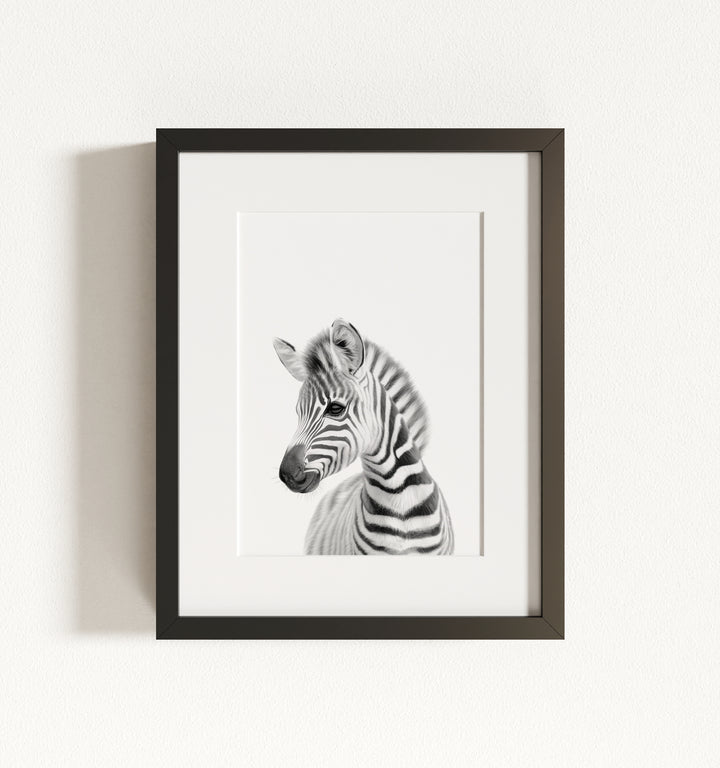 Baby Zebra Framed Art