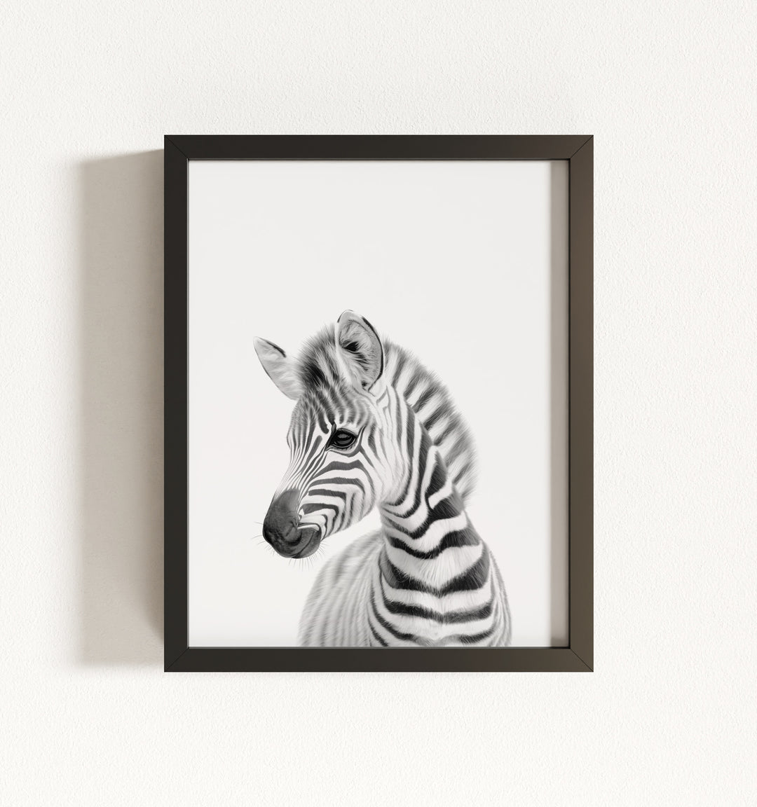 Baby Zebra Framed Art