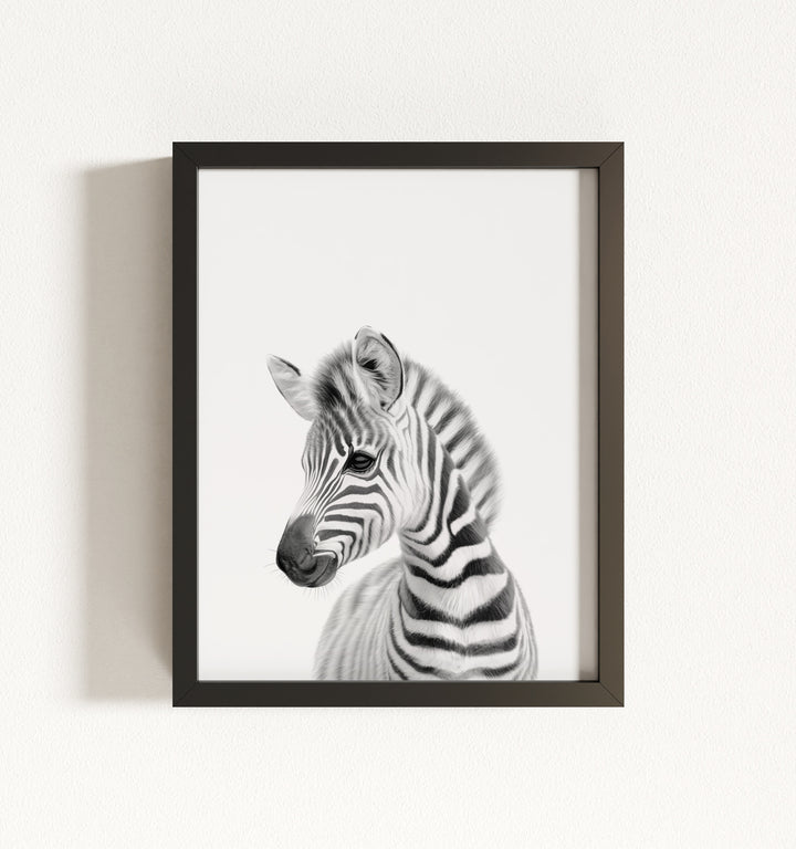 Baby Zebra Framed Art
