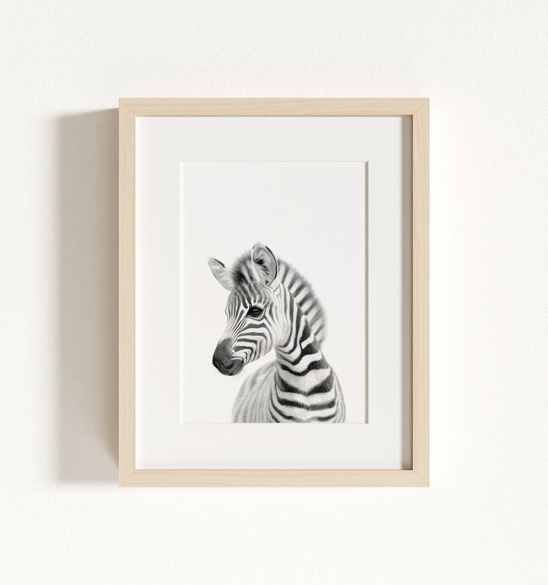 Baby Zebra Framed Art