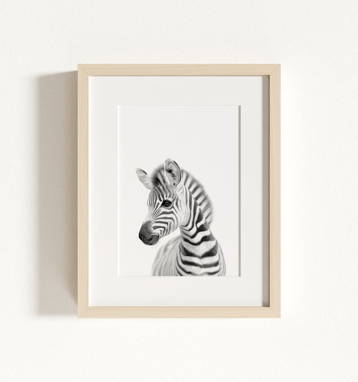 Baby Zebra Framed Art
