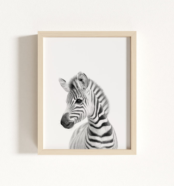 Baby Zebra Framed Art