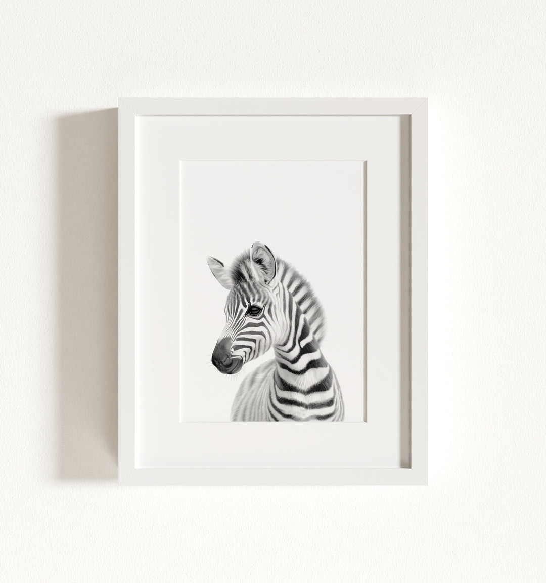 Baby Zebra Framed Art