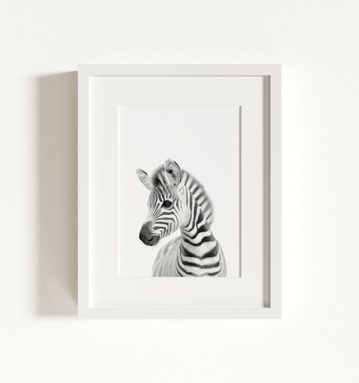 Baby Zebra Framed Art