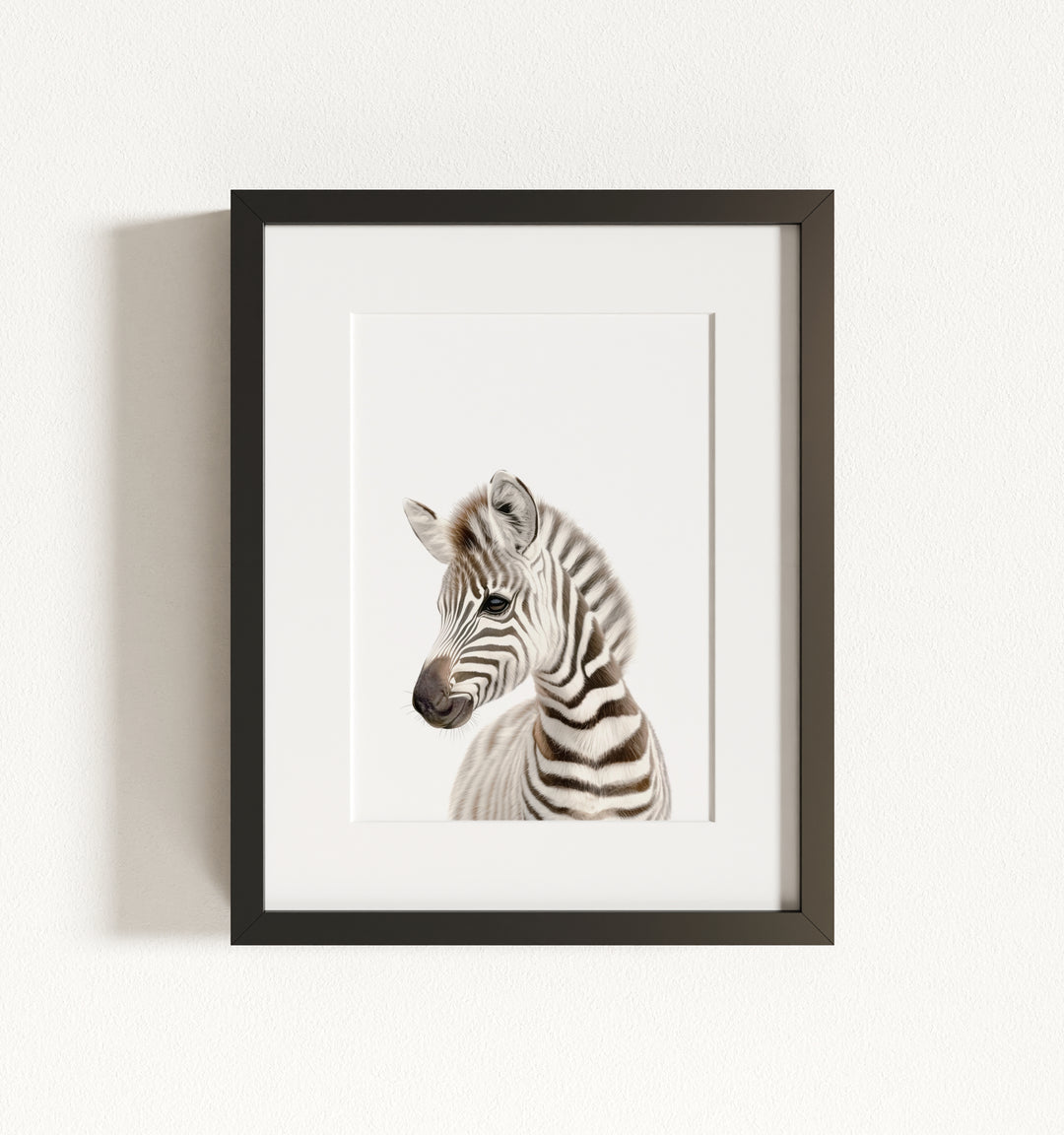 Baby Zebra Framed Art