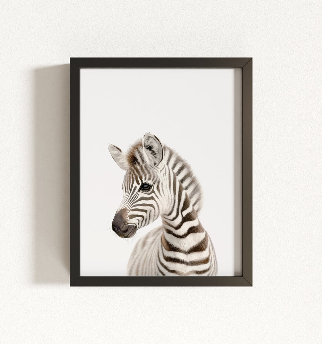 Baby Zebra Framed Art