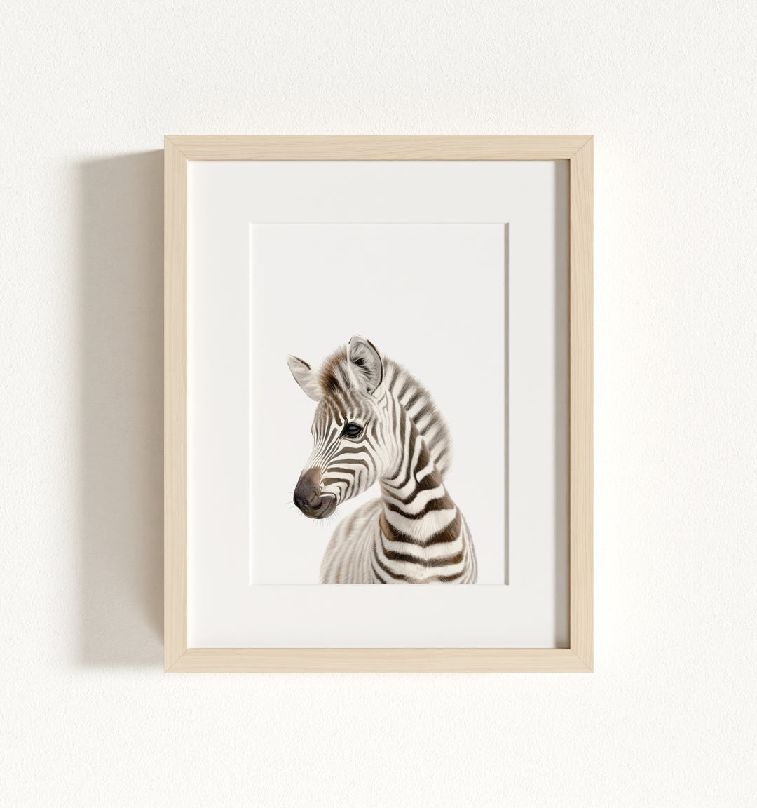 Baby Zebra Framed Art