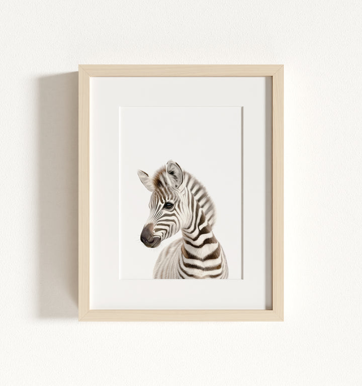 Baby Zebra Framed Art