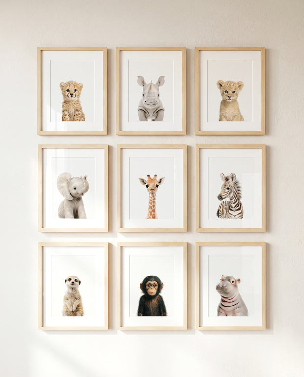 Design Your Own Baby Animal Art Gallery Wall