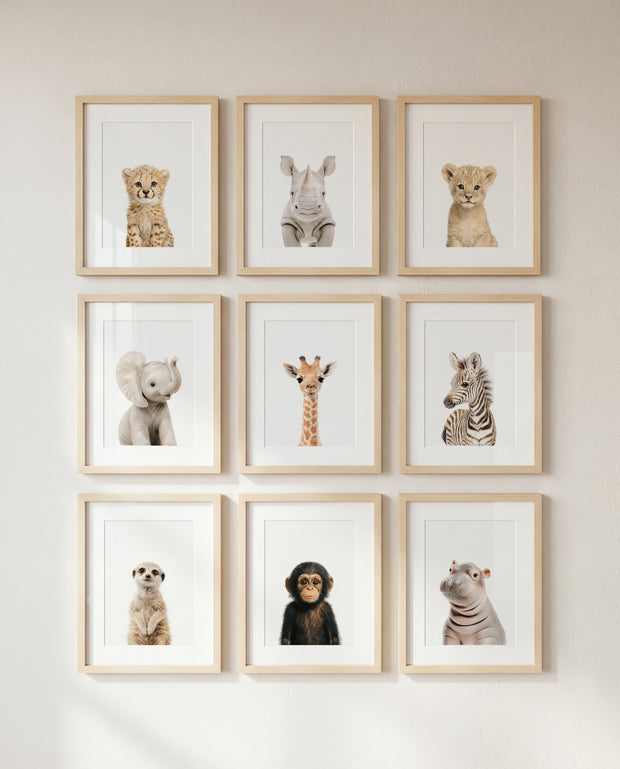 Design Your Own Baby Animal Art Gallery Wall