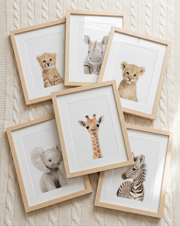Baby Safari Animals Nursery Decor - African Animals Set of 6 Prints