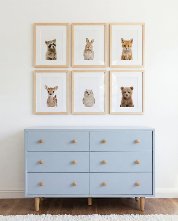 Woodland Animals Set of 6 Nursery Art Prints