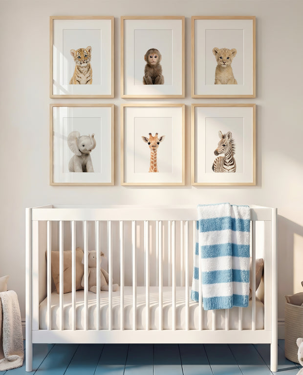 Baby Jungle & Safari Animals Set of 6 Nursery Decor Prints