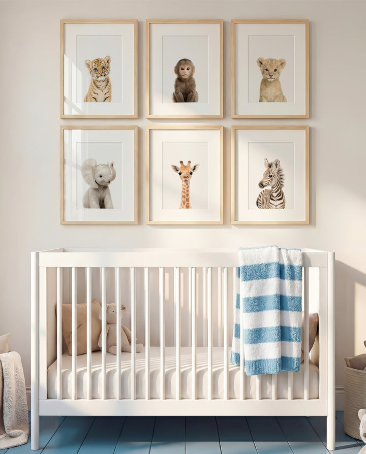 Nursery room with a white crib and framed animal prints on the wall. | The Crown Prints
