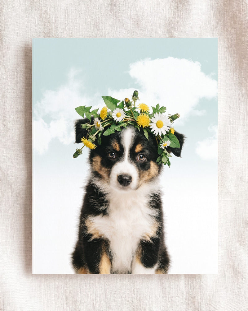 Flowers Sky