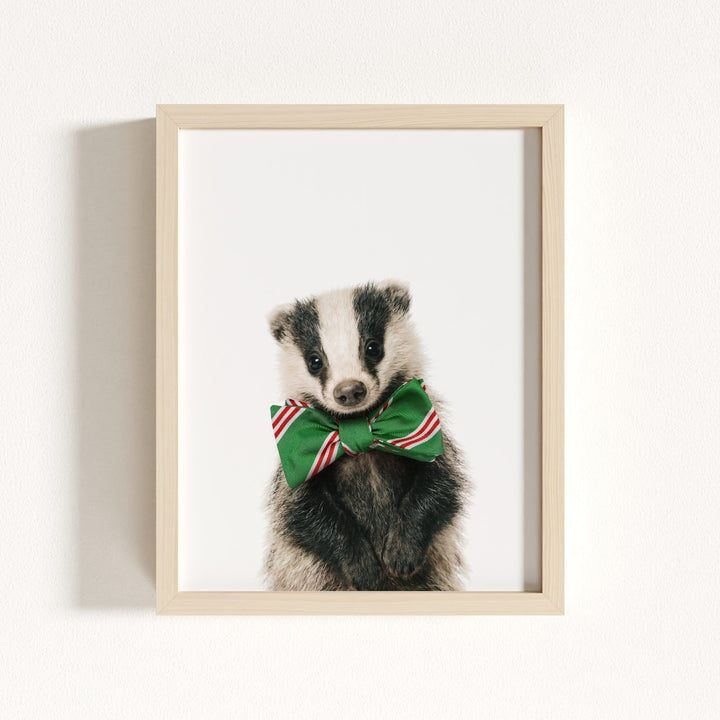 Baby Badger