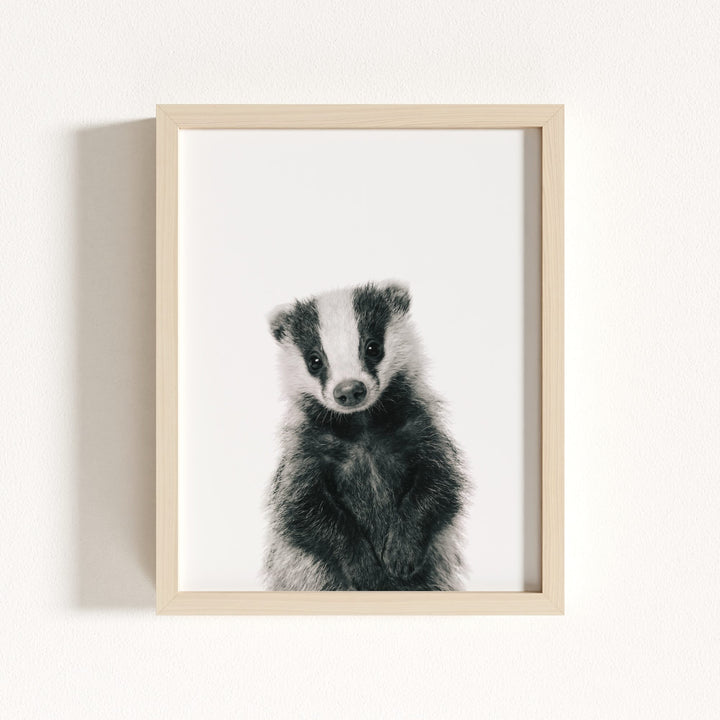 Baby Badger