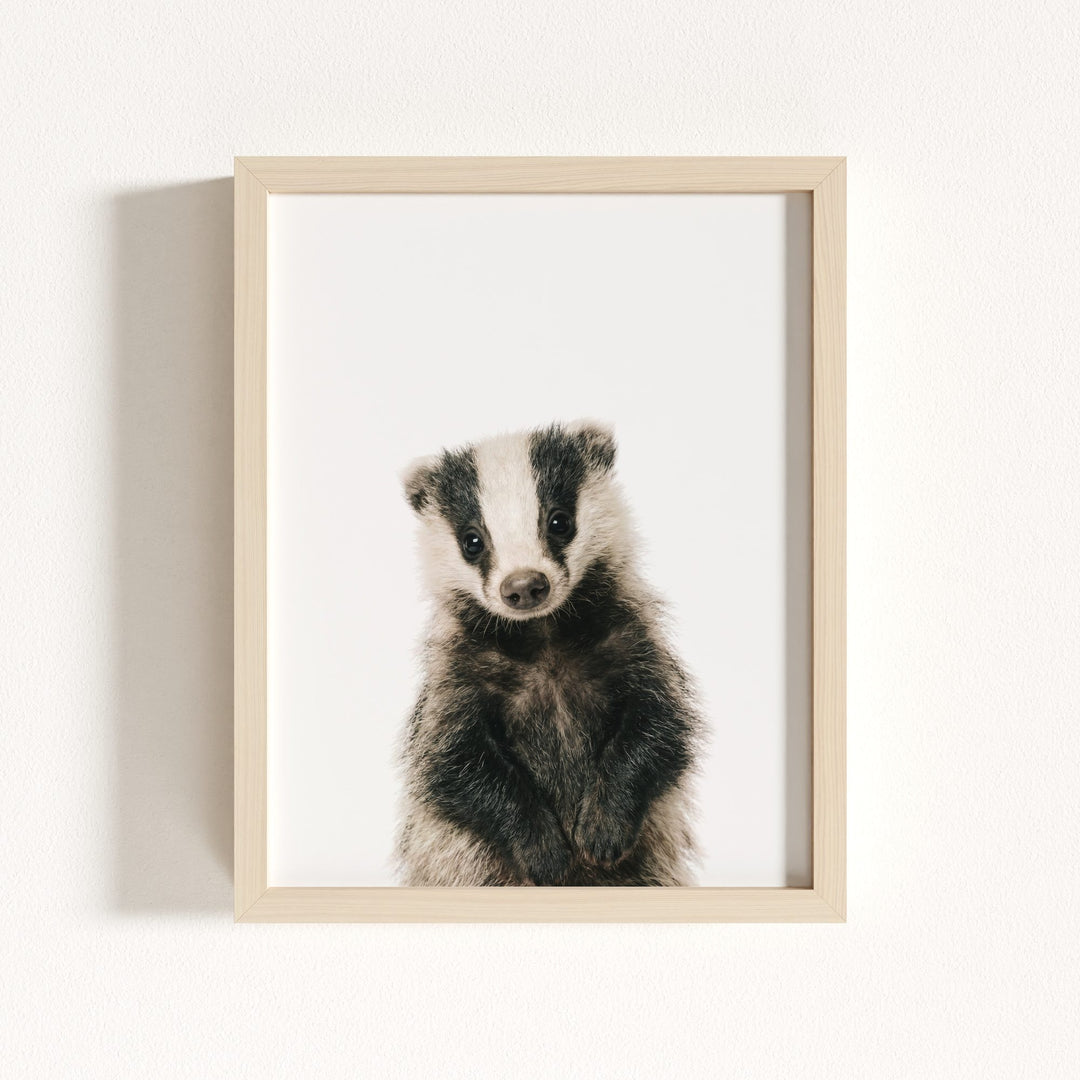 Baby Badger