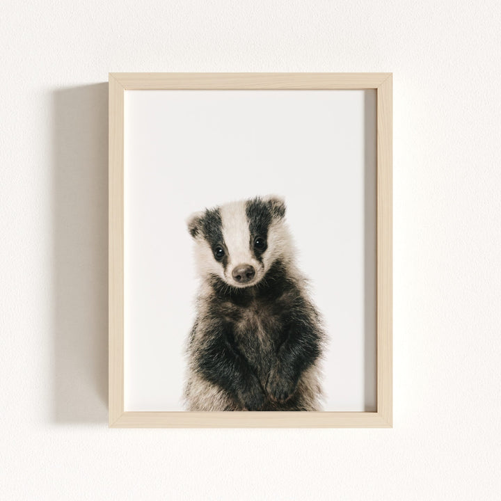 Baby Badger
