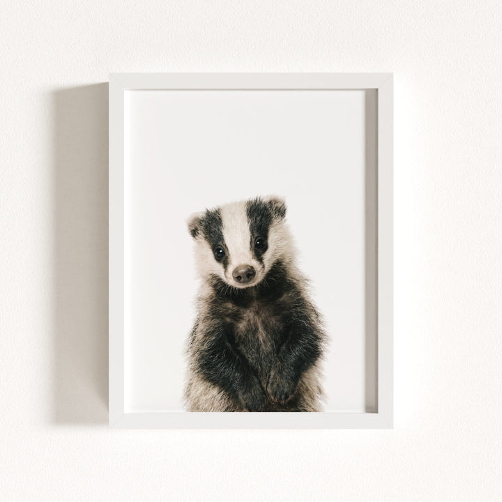 Baby Badger