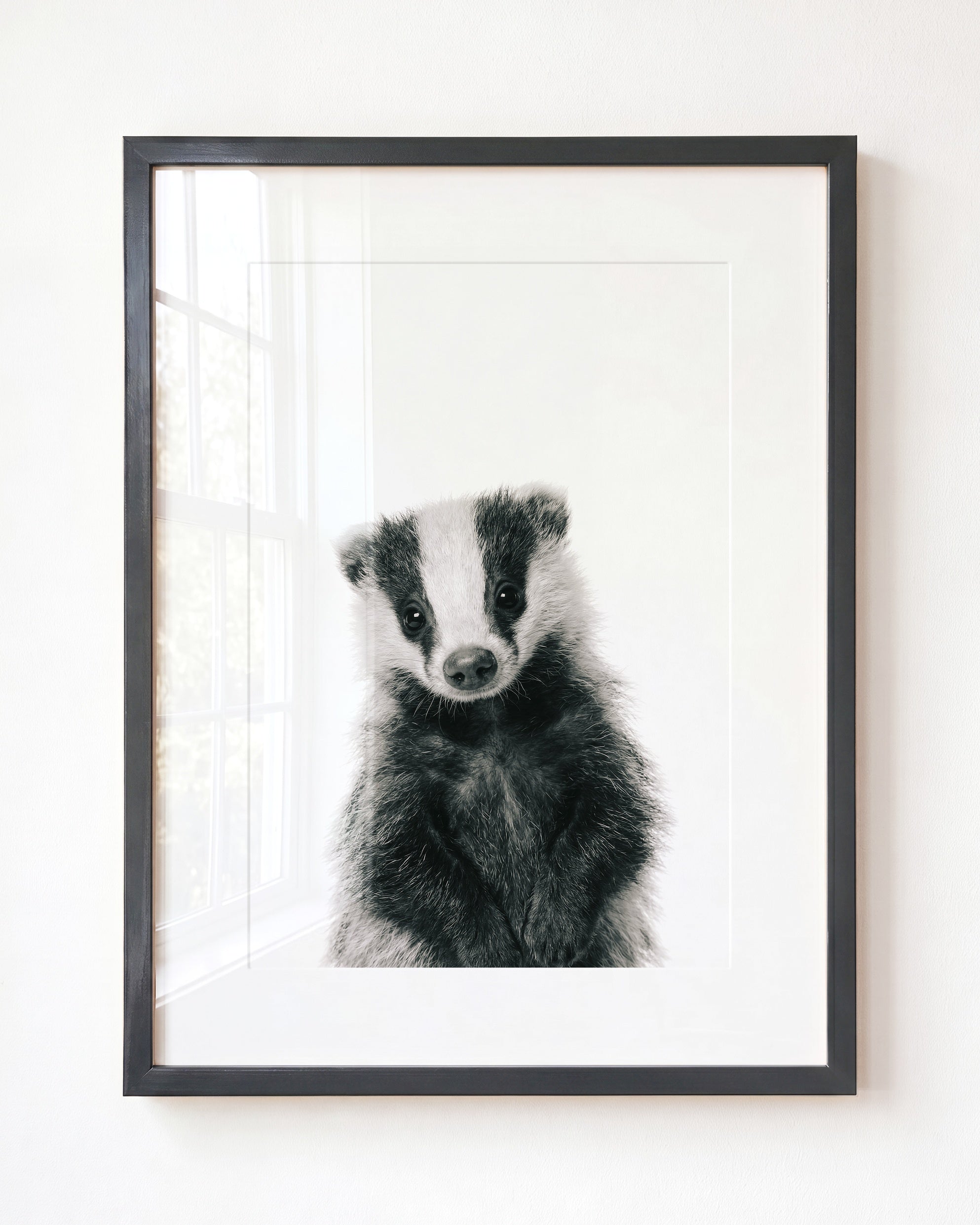 Baby Badger